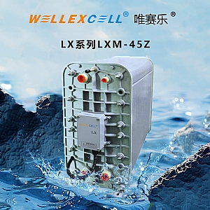 WELLEXCELL唯赛乐LXM45Z EDI膜块